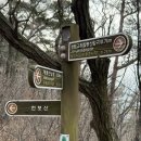 산길 | 천보산~해룡산 등산 코스 후기｜임도 vs 산길, 초보자 비추천 구간