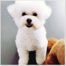 리츠펫 이시아폴리스점 이미지