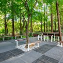 숲속 정원 이미지