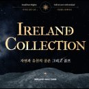 타이거투어여행사