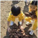 아이행복한어린이집 이미지