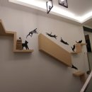스마일디자인 이미지