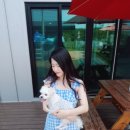 가을이네민박 네이버블로그