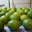 해인두밀 이미지