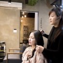 디자인바이비