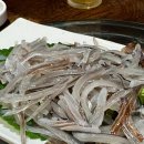 목동어시장 | [목동 맛집] 가성비와 신선함 폭발! 쫄깃한 산오징어...매운탕까지, ‘속초오징어어시장’ 털고 온 후기 🦑🐟