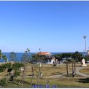 태양과바다1호 태양광발전소 이미지