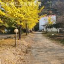 드림랜드오토캠핑장 | [포항/캠핑장/글램핑] 드림랜드오토캠핑장 계절마다 색다른 매력을 느낄 수 있는 장소