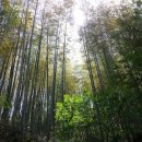 비봉내마을 이미지