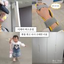 하은어린이집 | 이케아 팍스옷장 2년 쓰고 환불 후 다시 구매한 이유