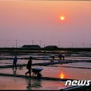 제두염전 이미지