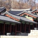 조선권력 조선의 정치 이미지