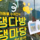 댕다방&댕마당 이미지