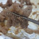 낙성 | 낙성대역 맛집 추천｜40년 된 기사식당 낙성기사식당 솔직 후기