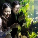 아쿠아플라넷 여수 이미지