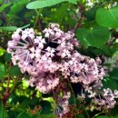 삼성따뜻한정신건강의학과의원 이미지