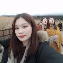 스테이 수산 이미지