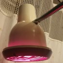 병인한의원시흥점 | 금천구 시흥사거리 한의원 강추!! 치료잘하는 병인한의원