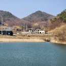 인다락벚꽃길 이미지