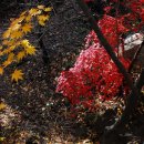 청운공원 이미지