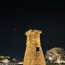 노랑통닭 가야점 | 경주여행 숙소 추천 | 황리단길 '아벤타호텔' VS 보문단지 '라한셀렉트 경주' 비교 후기