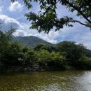 고당민박 이미지