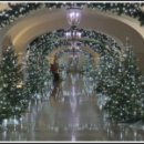 골드패밀리농장 이미지