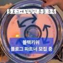 키위애드 | 블랙 키위 블로그 파트너 모집(신청 기간, 방법, 블랙 키위 사용 후기)