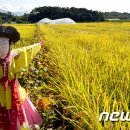 밤두둑마을 이미지