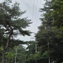 스파탕 | 충북 제천 레스트리 리솜, 레스트리 해브나인 스파 솔직후기(제발 좀 씻고 들어가세요...진짜..)