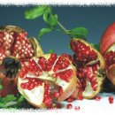 전남 고흥군, ‘생명의 과일’석류의 친환경ㆍ고품질 재배로 특화작목 육성 이미지