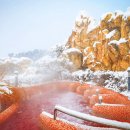 겨울 숲속에서 보내는 온천 힐링, 제천 포레스트 리솜 여행 이미지