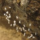 용황초등학교 이미지