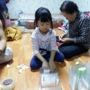 채은농장 이미지