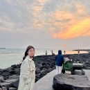 서귀포농업협동조합홍로지점 | [제주 2박3일] 부모님도 좋아할 제주 서쪽 여행 코스 (+식당/카페 정보 공유)
