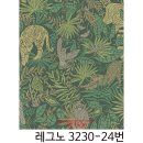 레그노일 이미지