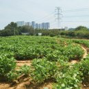 안중레포츠 공원 체육시설 이미지