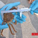 동해-단속-28 이미지