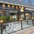 서해동물병원 이미지