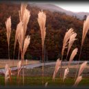 가장 아름다운 노래 이미지