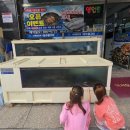 장수굴구이