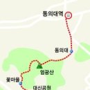 명품꽃마을 Daum카페