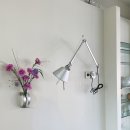 디스베리데이 이미지