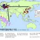 [과학카페] 아프리카돼지열병 어떻게 한국까지 들어왔을까 이미지