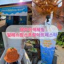 예래동 가가동 | 5월 제주아이와가볼만한곳, 액션페인팅 가능한 알레스팜 후기 🎨