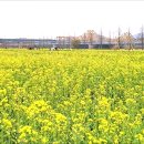 낙동강변 이미지