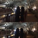 오래오래