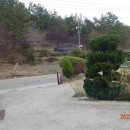 철성초등학교 이미지
