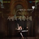 서귀포시김정문화회관 이미지