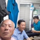 김종채농장 Daum카페